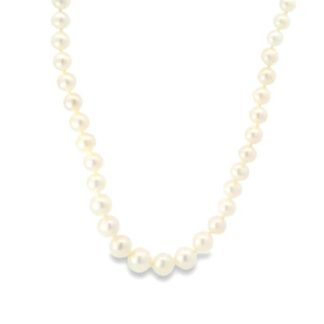 484012 Graduated White Pearl 18" Necklace 14KT Clasp