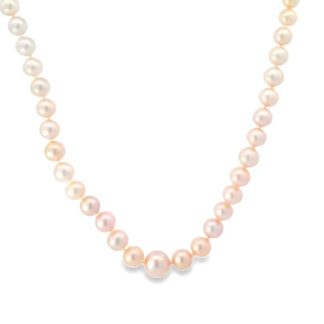 484012P Graduated Pink Pearl 18" Necklace 14KT Clasp